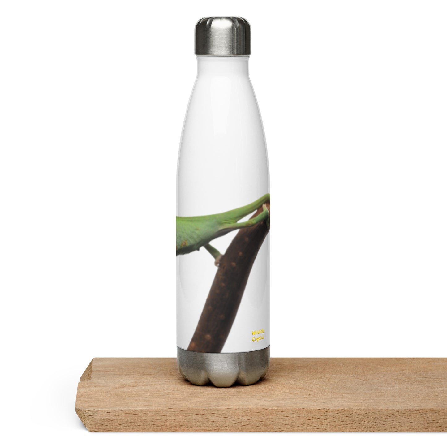 Chameleon Water Bottle