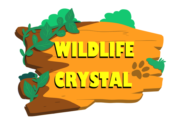 Wildlife Crystal Shop