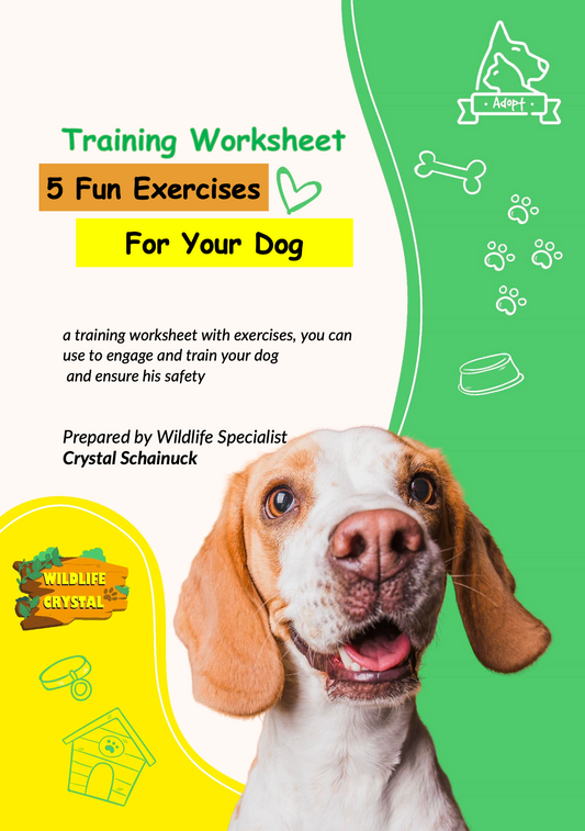 Get my FREE e-book '5 Fun Exercises for Your Dog!'